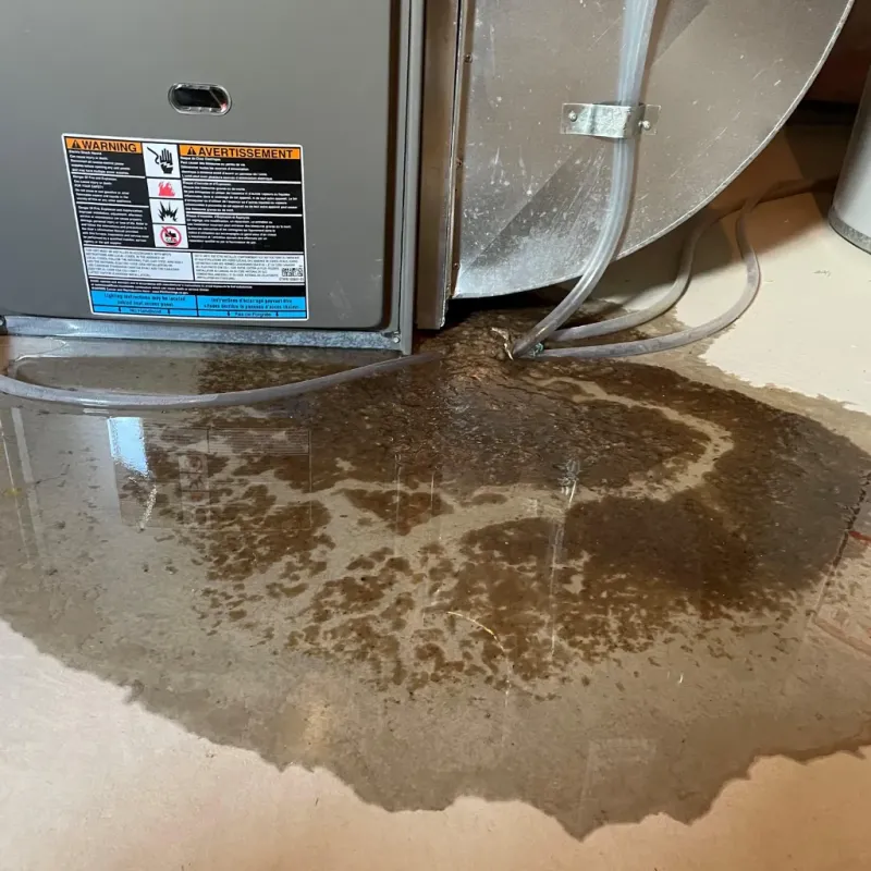 Appliance Leak Cleanup in Tryon, NC